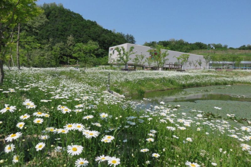 栄州 豆世界科学館（영주 콩세계 과학관） (6/8)