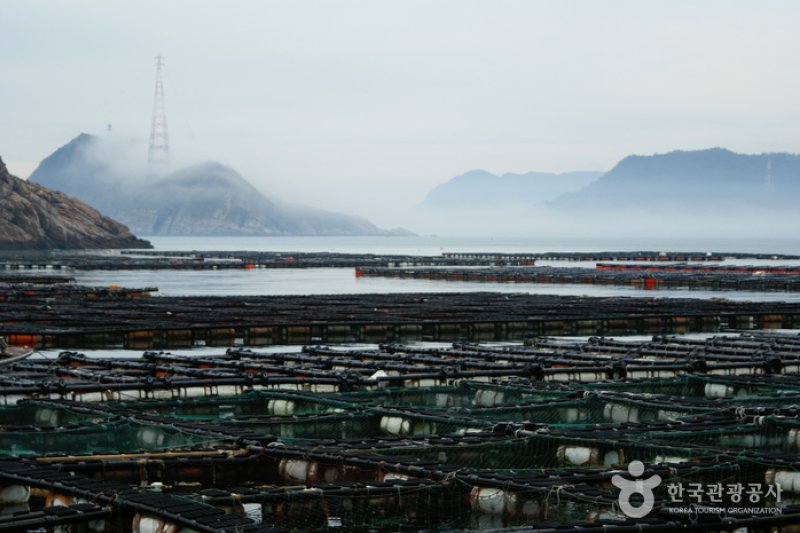 大屯島（대둔도） (4/12)