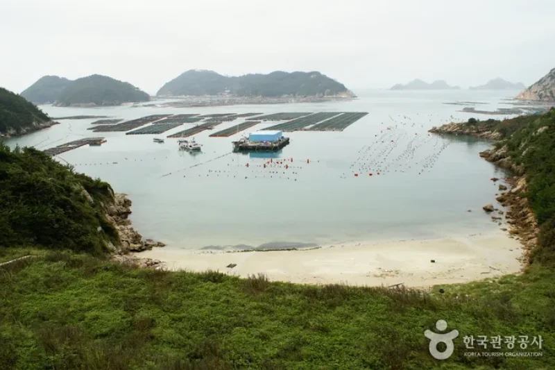 大屯島（대둔도） (9/12)