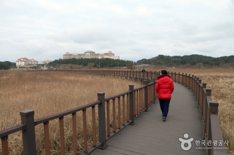 鰲山里先史遺跡博物館 (40/43)