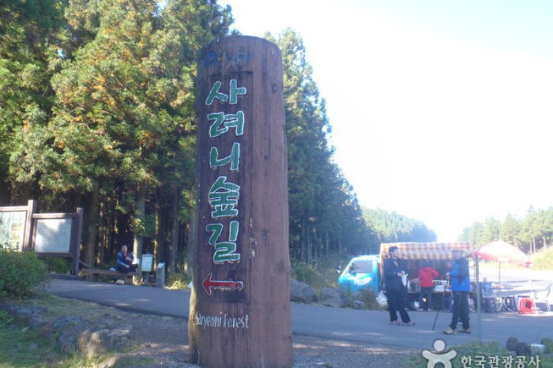 サリョニ林道 (1/15)