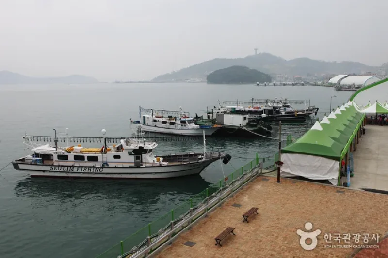 莞島国際海草類博覧会 (4/20)