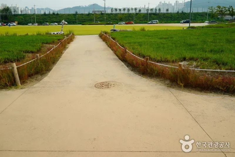 始興ケッコル生態公園 (6/25)