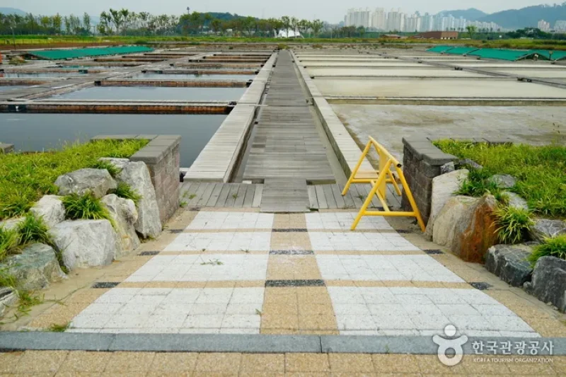 始興ケッコル生態公園 (10/25)