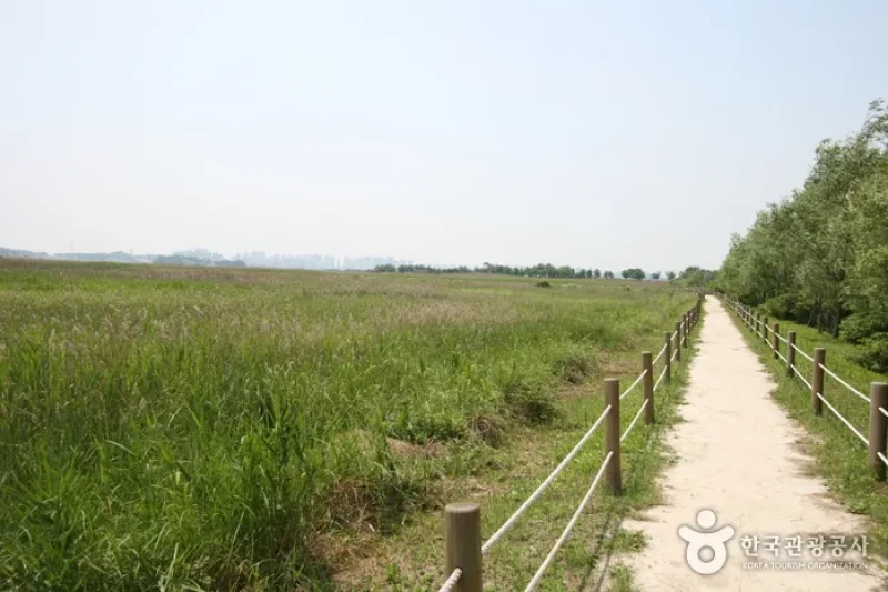 始興ケッコル生態公園 (15/25)