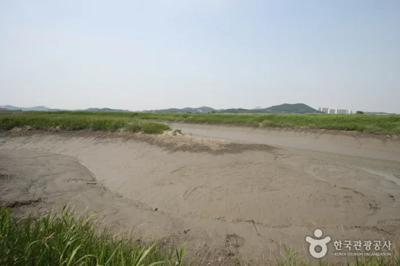 始興ケッコル生態公園 (19/25)