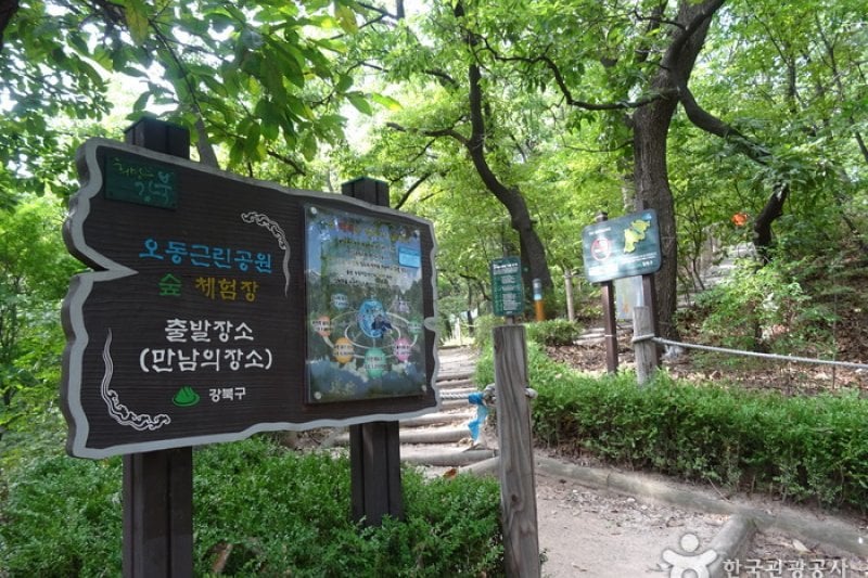 梧桐近隣公園 (7/8)