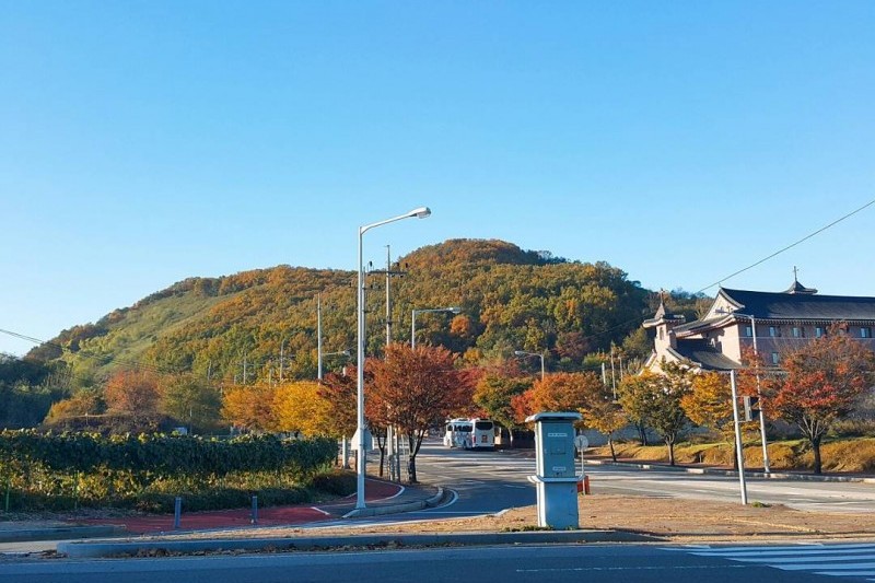 統一公園 (9/12)