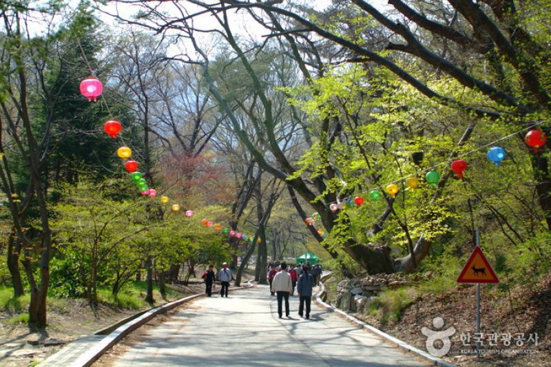 鶏龍山山神祭 (3/4)