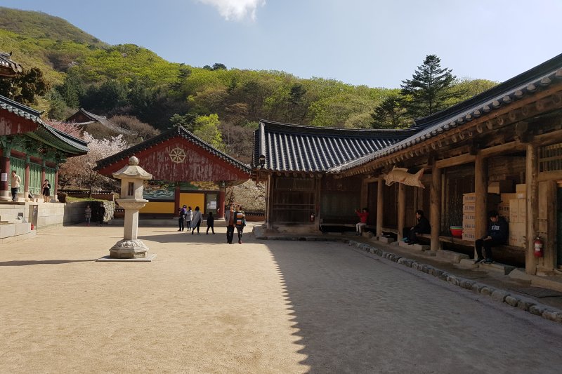 普光寺 (31/49)