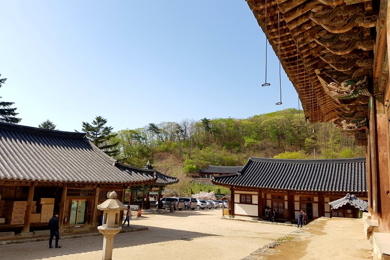 普光寺 (36/49)