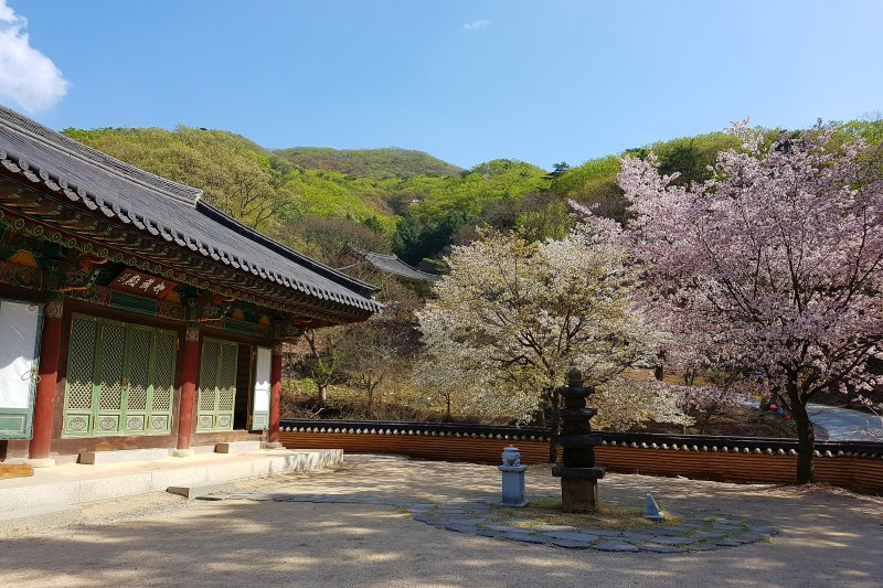 普光寺 (38/49)