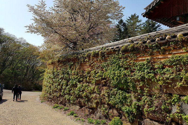 普光寺 (40/49)
