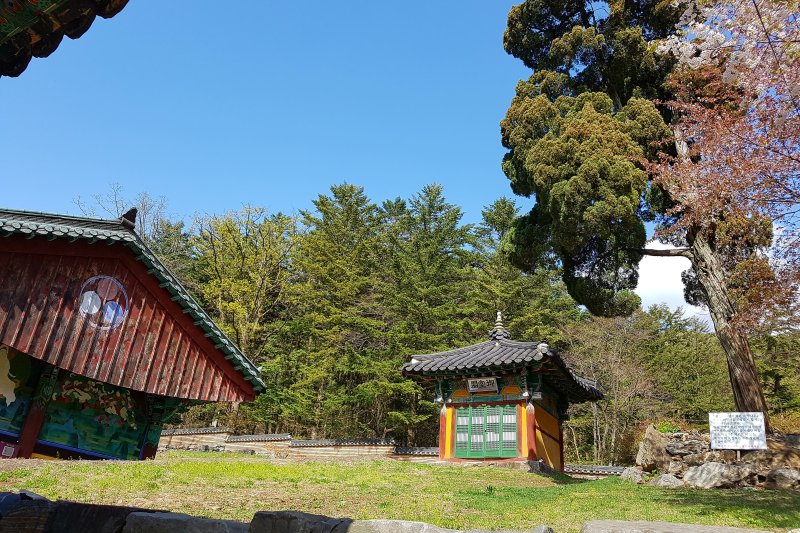 普光寺 (43/49)