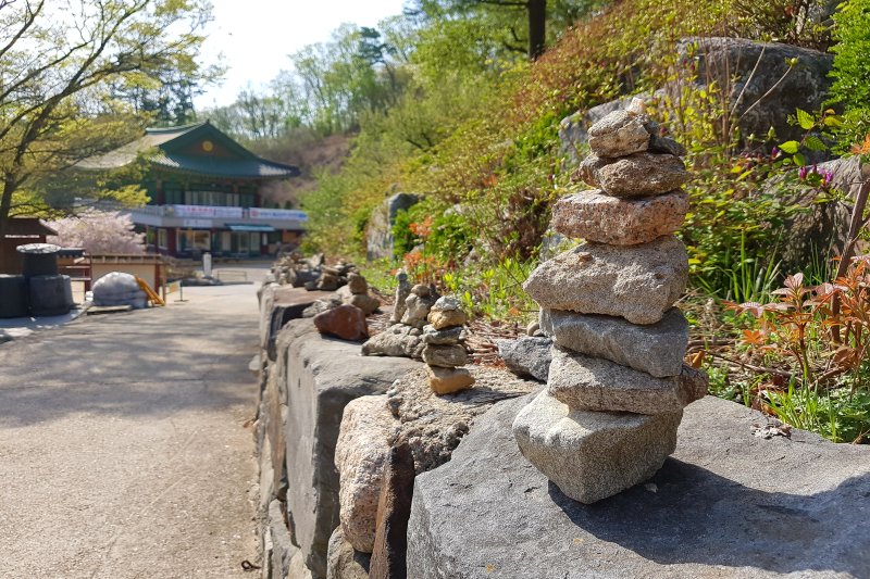普光寺 (44/49)