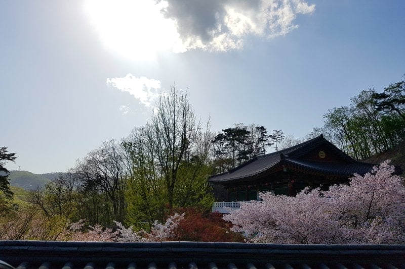 普光寺 (45/49)