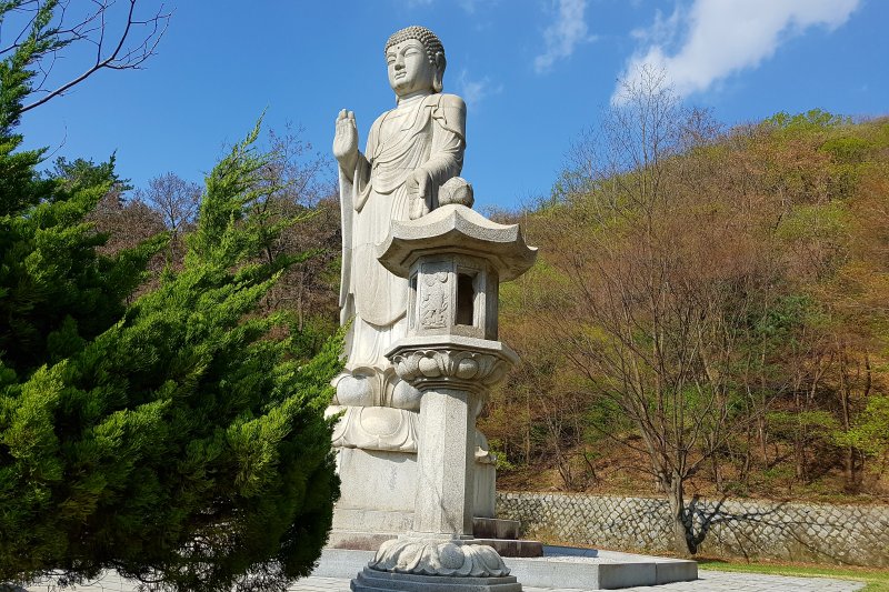 普光寺 (47/49)