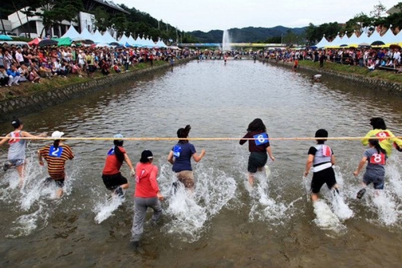 槐山唐辛子祭り (5/7)