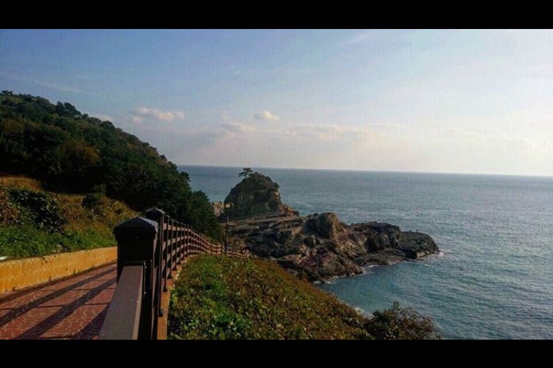 陶蔵浦村-丘 (5/7)