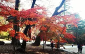 伽倻山国立公園