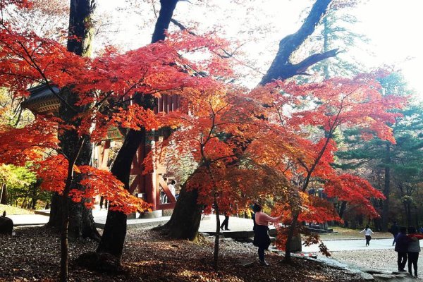 伽倻山国立公園