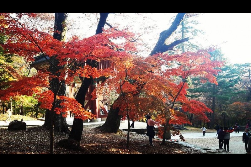 伽倻山国立公園 (8/8)