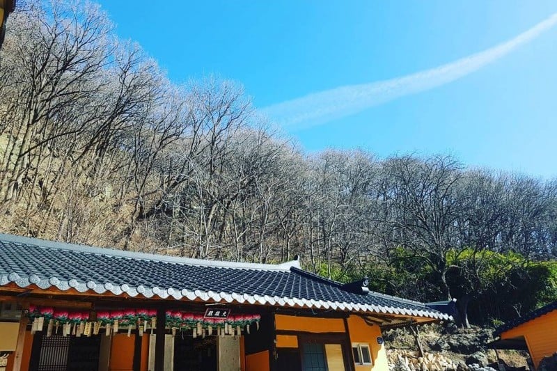 慶州 骨窟庵 磨崖如來坐像 (3/5)