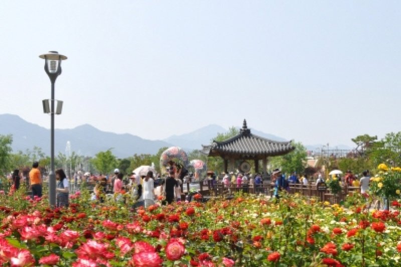 谷城世界薔薇祭り (1/6)