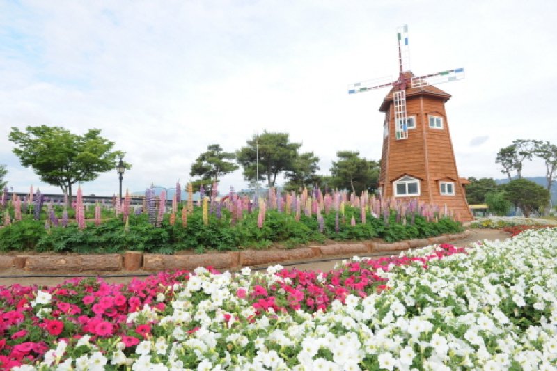 谷城世界薔薇祭り (6/6)