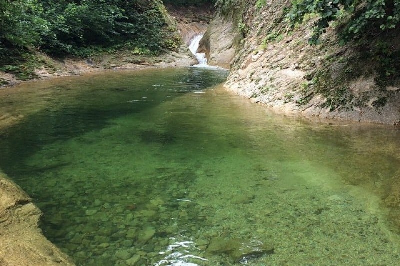 弥矢嶺渓谷 (5/5)
