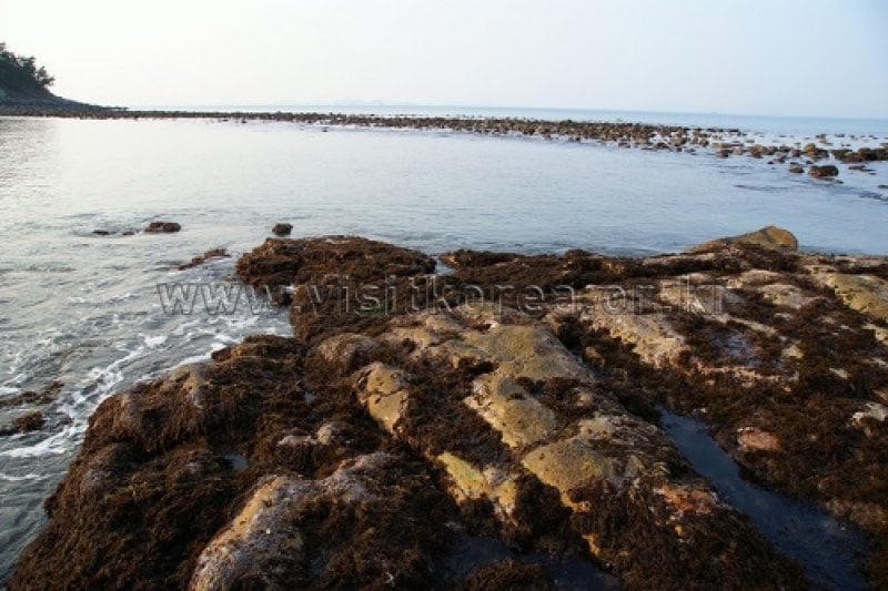 草島（麗水）（초도 (4/16)