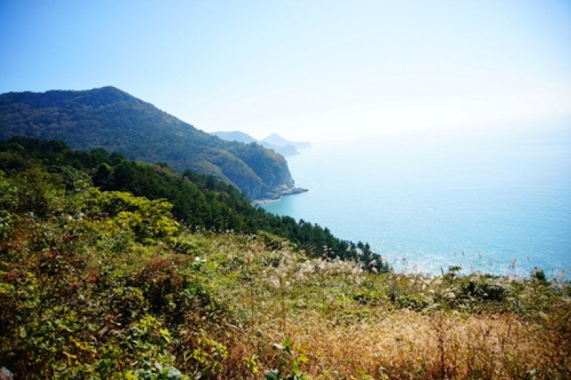 金鰲島 (3/19)