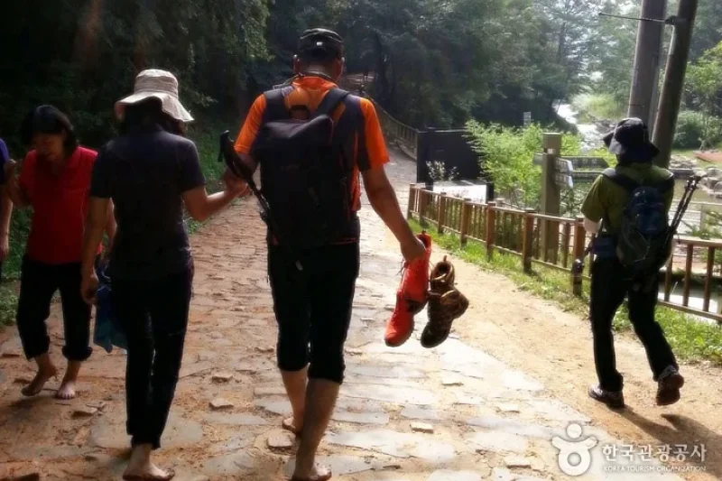 鶏足山ファントッキル (8/15)
