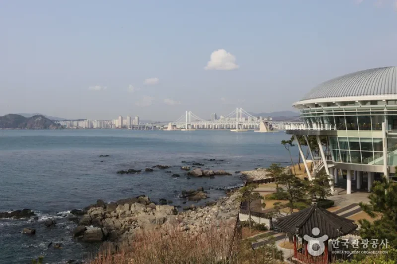 海雲台観光特区 (8/15)
