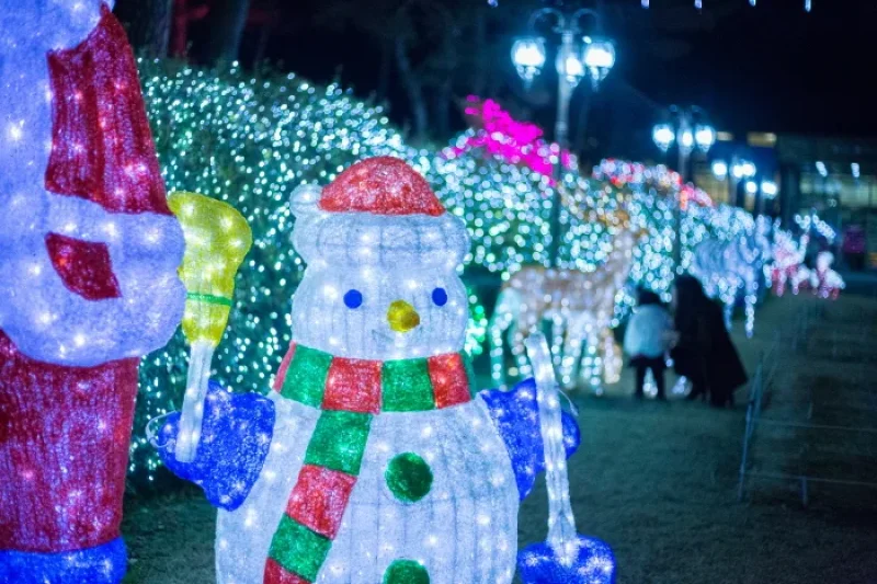 碧草池樹木園ひかり祭り (2/4)