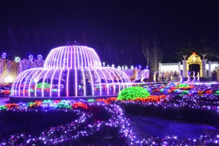 碧草池樹木園ひかり祭り