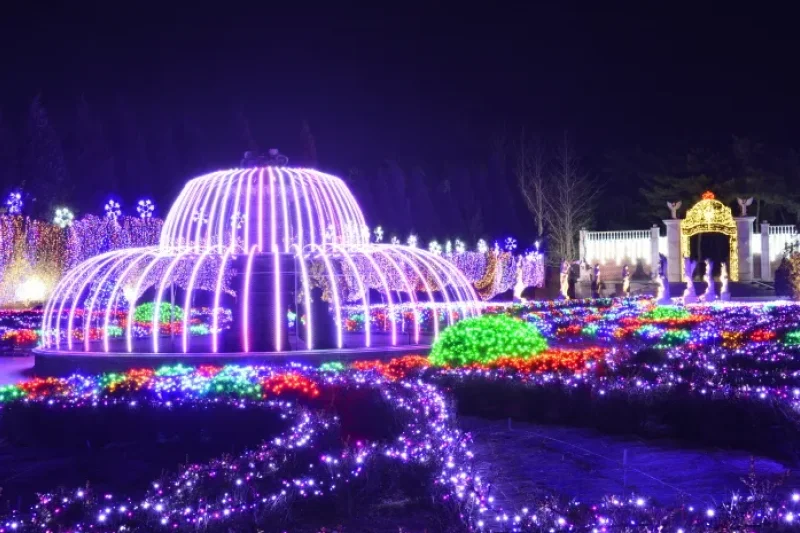 碧草池樹木園ひかり祭り (4/4)