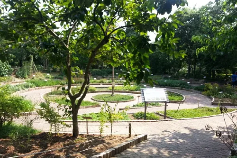蔚山野花学習園 (4/4)
