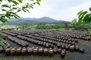 安東河回味噌村