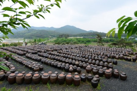 安東河回味噌村