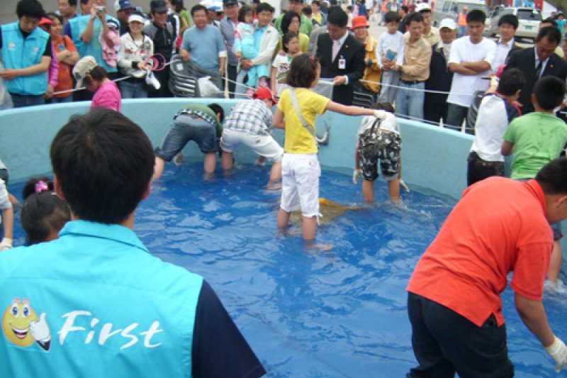 麗水鎮南 亀甲船祭り (6/8)