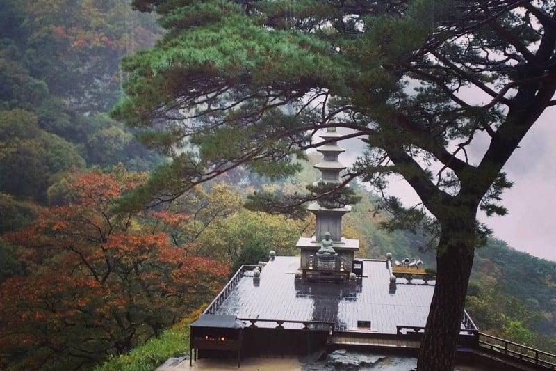 清涼寺 (1/1)