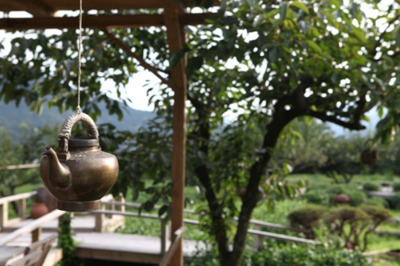 梅岩茶文化博物館 (14/17)
