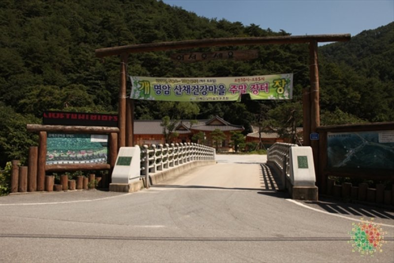 明岩山菜健康村 (1/4)