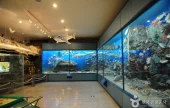 水産科学館（釜山）（수산과학관