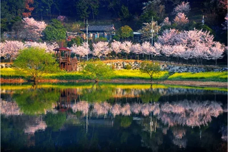 仙岩湖水公園 (1/10)