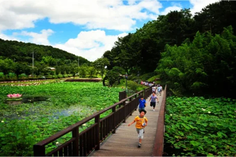仙岩湖水公園 (2/10)