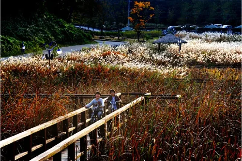 仙岩湖水公園 (4/10)