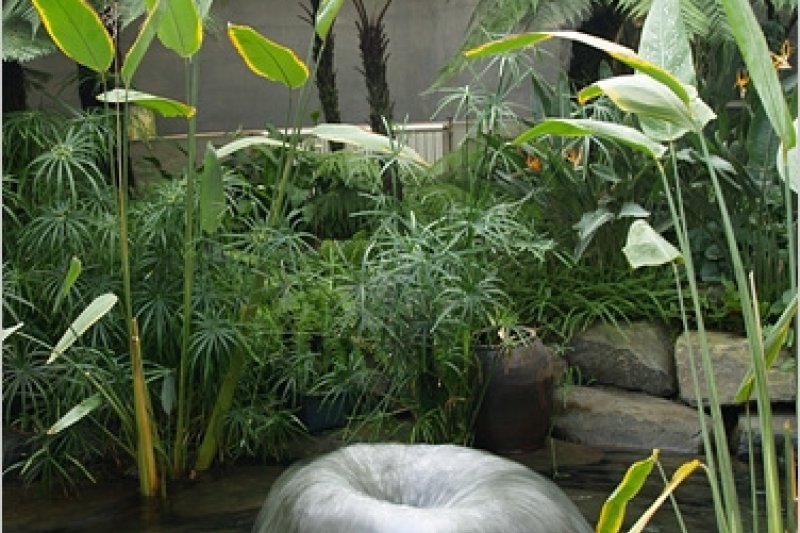 富川植物園 (5/11)
