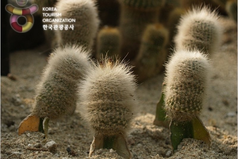 富川植物園 (11/11)